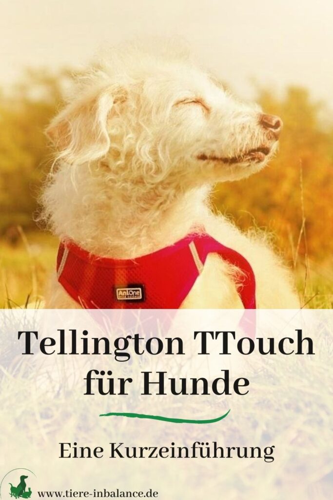 Was ist Tellington Touch