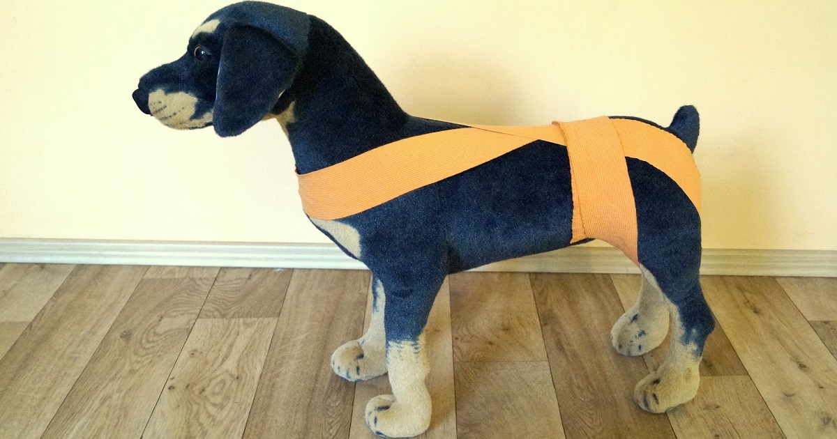 Tellington TTouch Die Körperbandagen Tiere in Balance