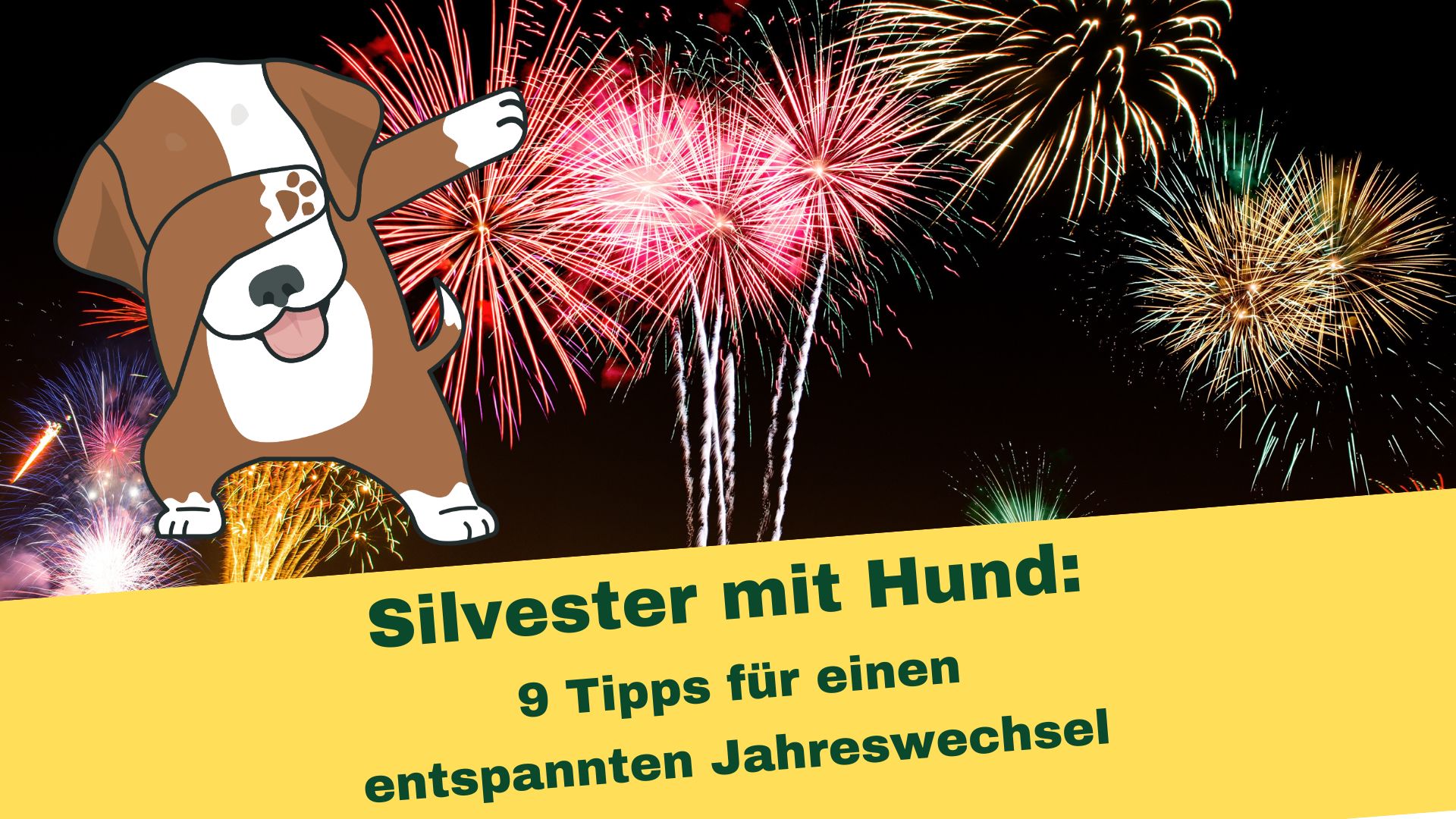 Hund ist genervt vom Silvesterfeuerwerk und hält sich die Augen zu