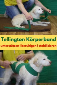 Ein Tellington Körperband kann in der Hundephysiotherapie eingesetzt werden. Es verbessert Gangbild und Koordination des Hundes