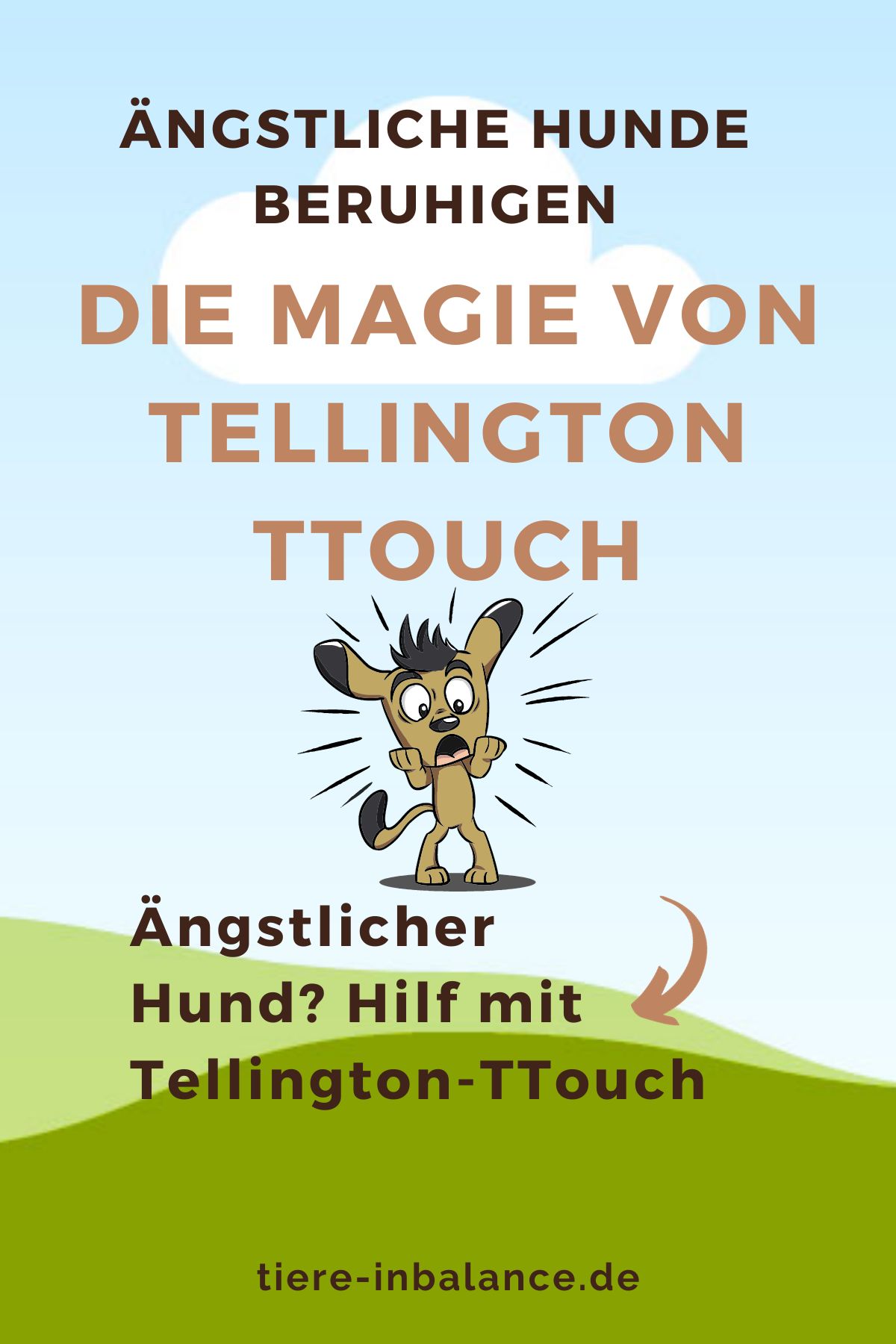 Hilfe für ängstliche Hunde