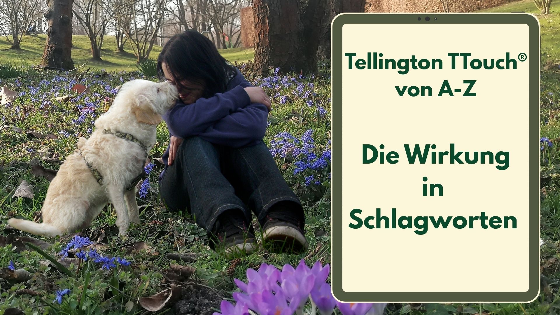 Hund und Mensch sitzen einander zugewandt. dieses innige, vertrauensvolle Verhältnis wir durch die Wirkung von Tellington TTouch begünstigt.