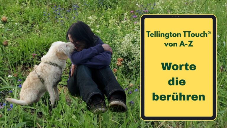 Hund und Frau sitzen innig einander zugewandt auf einer Wiese