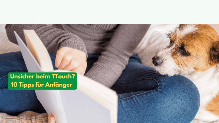 Unsicher beim TTouch? 10 Tipps für Anfänger