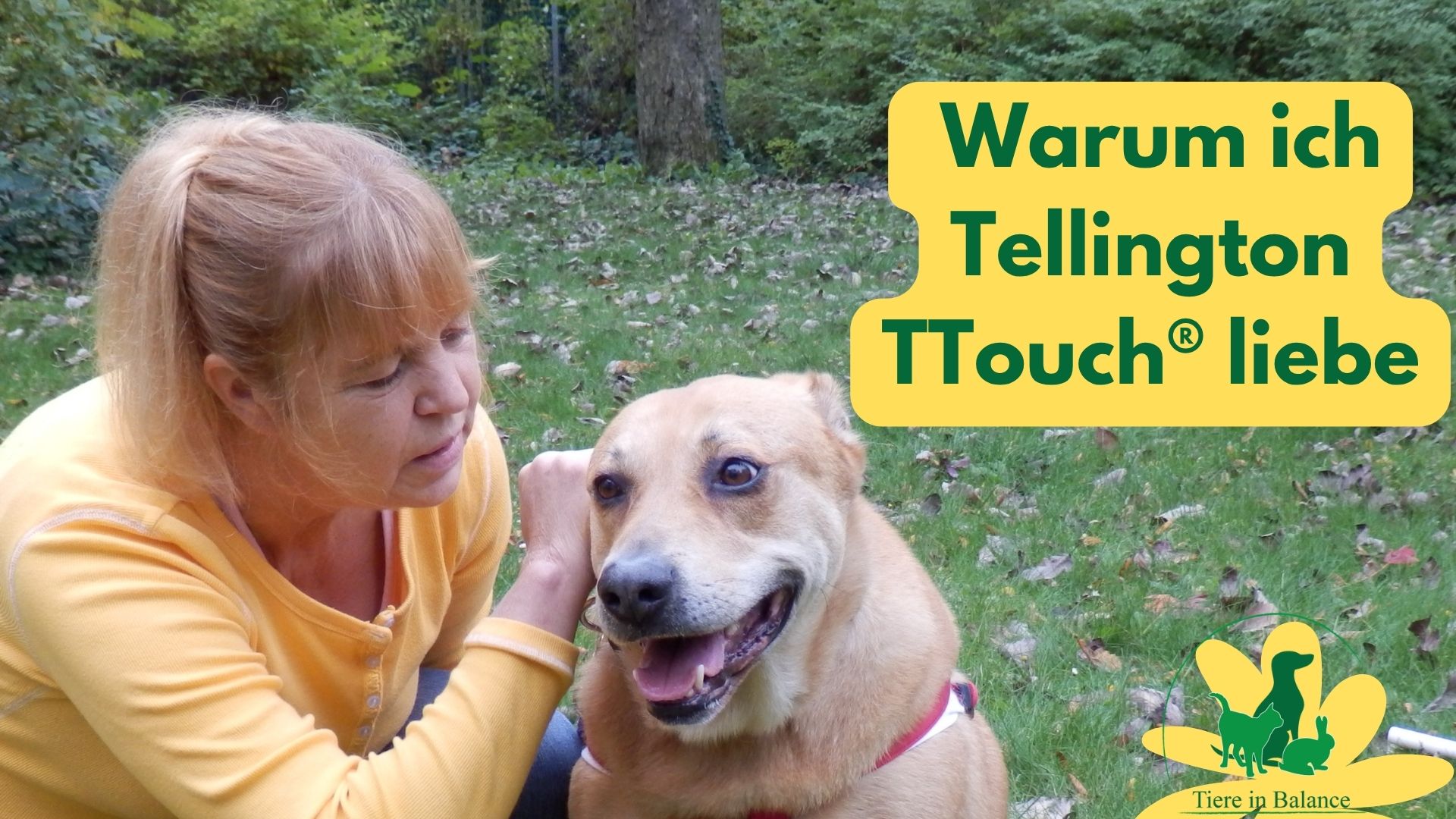 Eine Tellington TTouch Lehrerin ttoucht einen Hund im Labyrinth