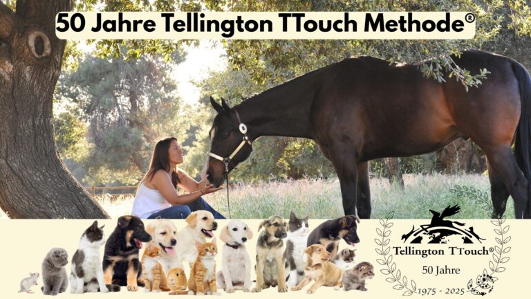 50 Jahre Tellington TTouch, vom Pferd zu Hund, Katze, Maus,