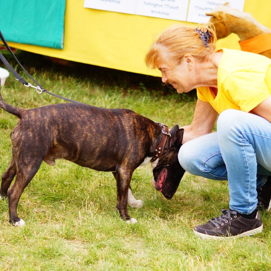 Eine lächelnde Frau begrüßt freundlich einen Hund