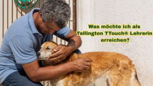 Innige Begegnung Mensch Hund