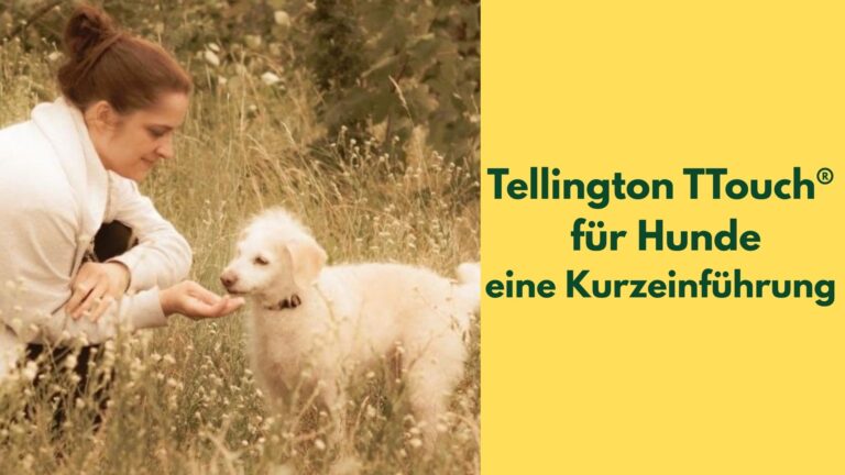 Eine Frau lässt einen kleinen hellen Hund an ihrer Hand schnuppern