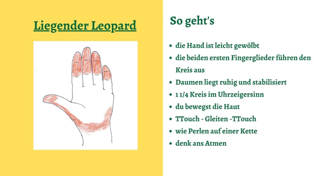 Handhaltung und Ausführung Tellington TTouch Liegender Leopard