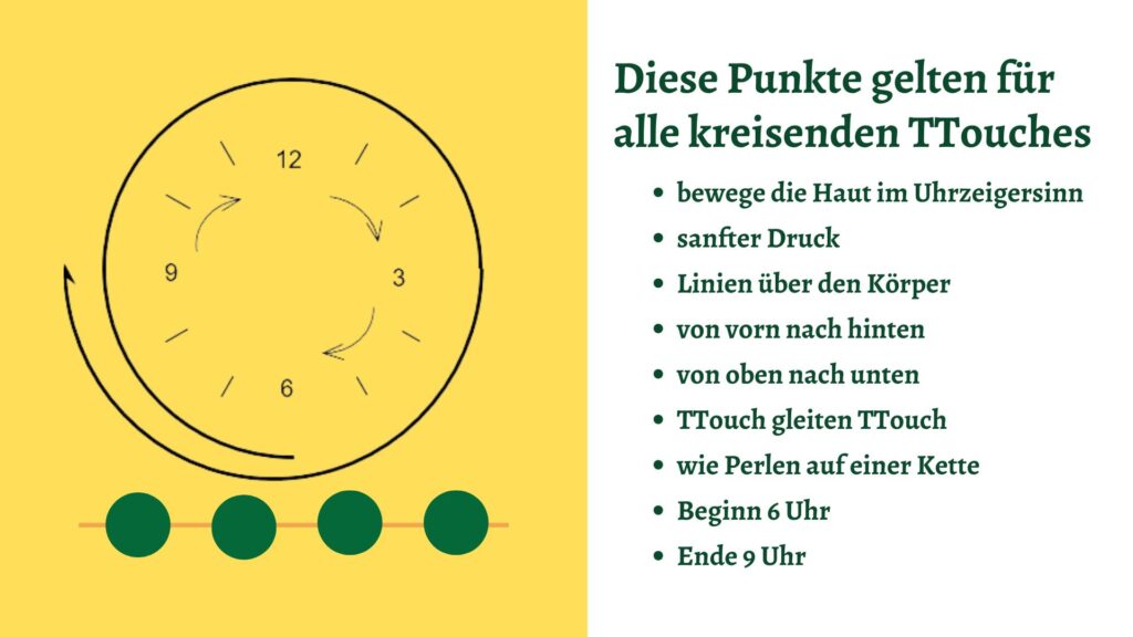 Tellington TTouch Basics
Bewege die Haut mit leichtem Druck in einer Kreisbewegung im Uhrzeigersinn. Führe an jeder Stelle nur einen Kreis aus und gleite dann zur nächsten Stelle weiter. Die einzelnen Kreise reihst du aneinander wie Perlen auf einer Kette.