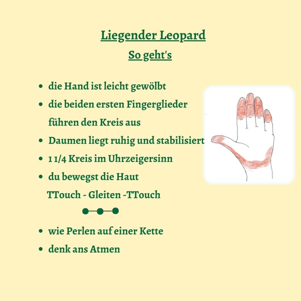 Beschreibung einer TTouch Übung