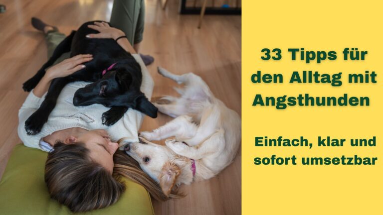 Eine Frau und zwei Hunde kuscheln entspannt auf dem Boden liegend