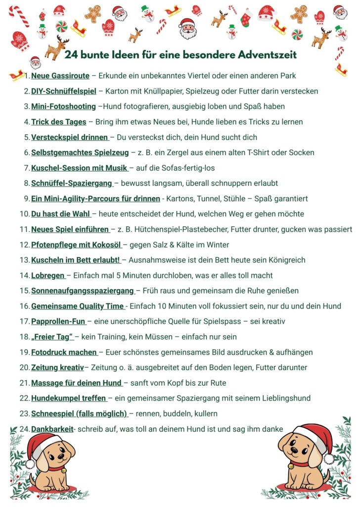 24 Adventsüberraschungen für deinen Hund