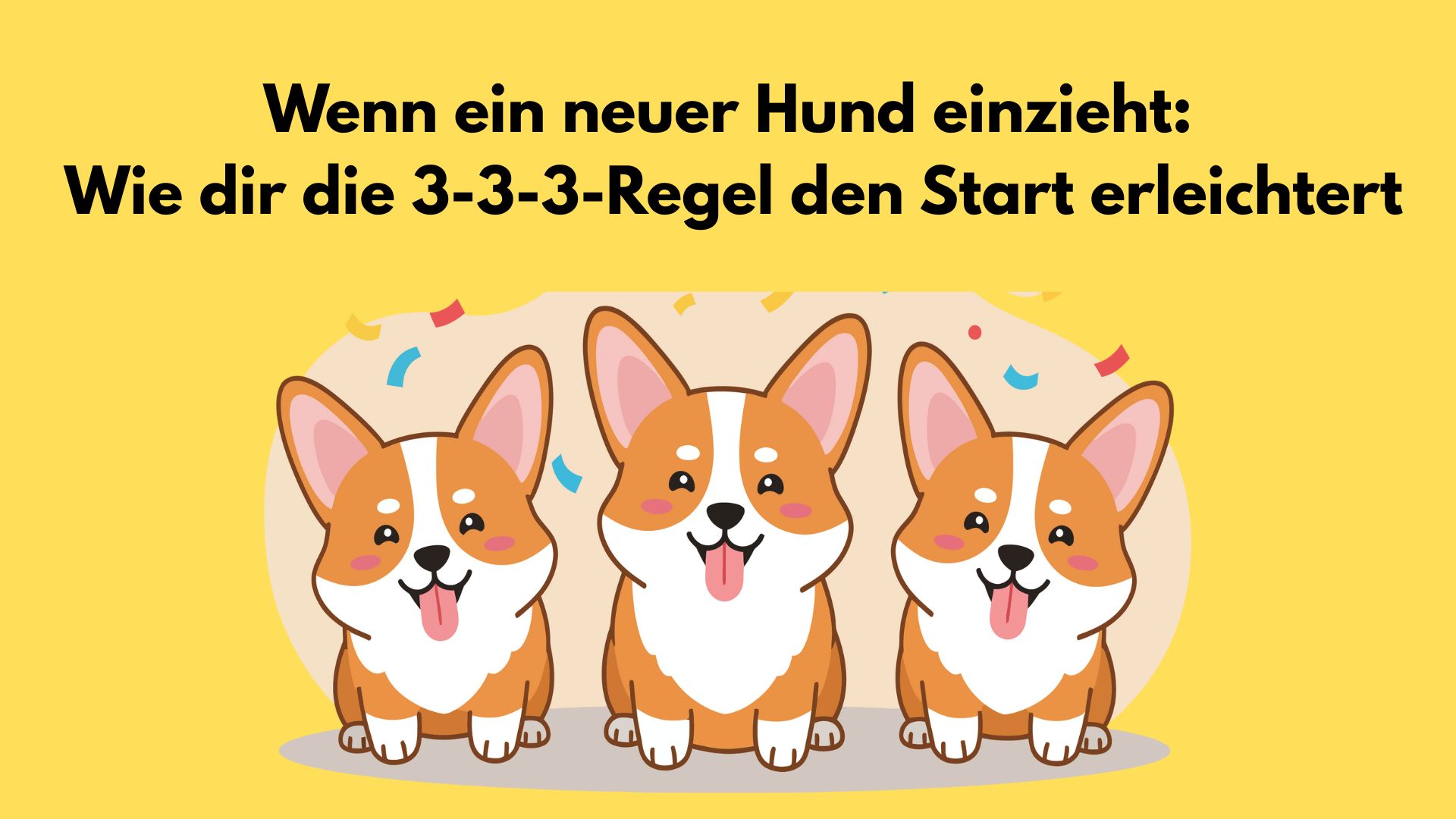 neuer Hund und 3 3 3 Regel