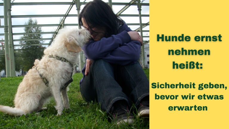 Frau mit Hund. Innige Zweisamkeit, Vertrauen und Bindung