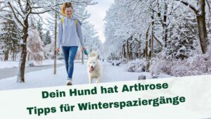 Eine Frau führt ihren Hund spazieren. Es ist Winter und die Allee ist verschneit