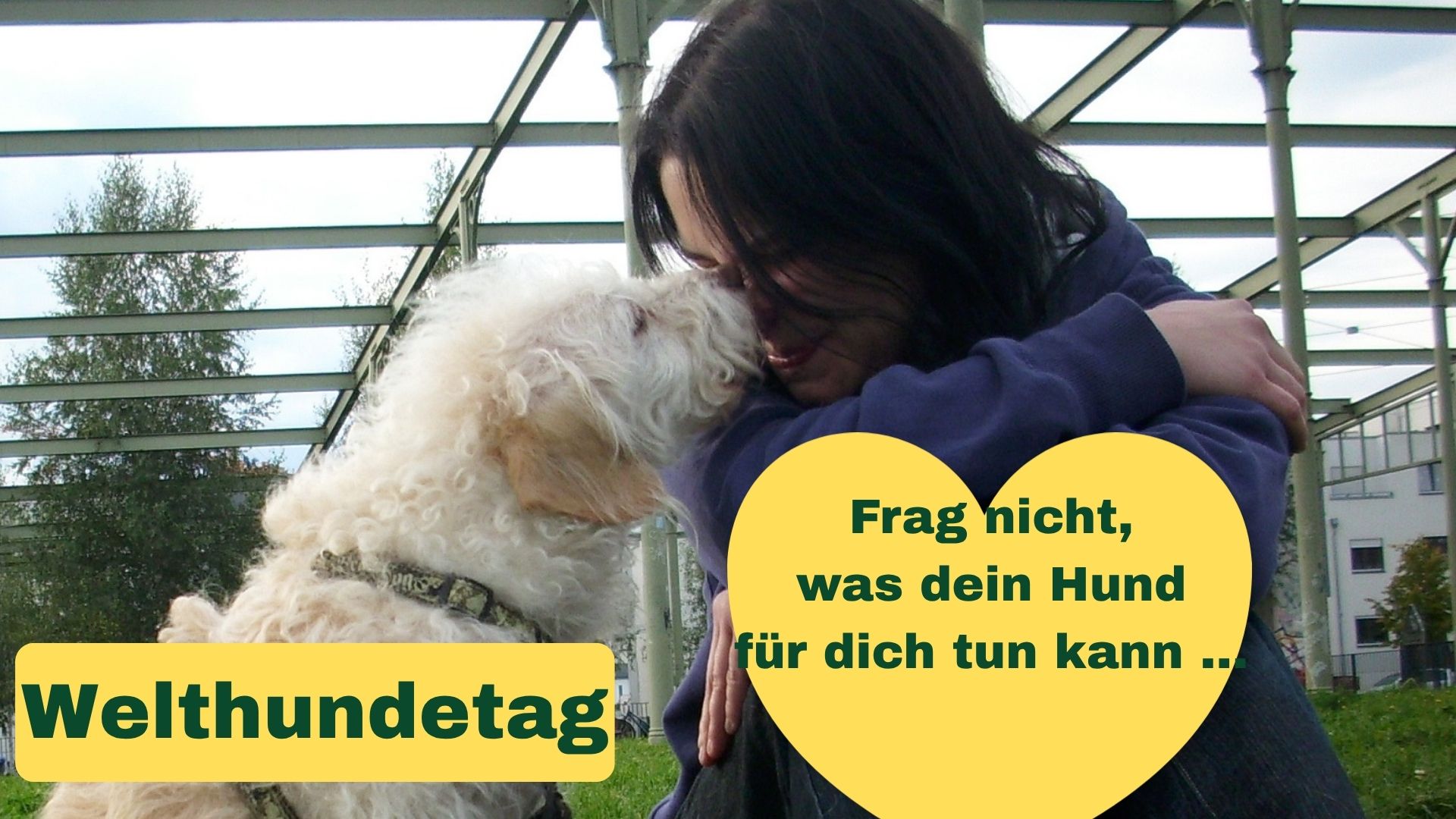 Welthundetag, ein sehr inniges Bild. Der Hund berührt den Menschen liebevoll im Gesicht